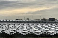 BSG-HoekvHolland-202312010_Niek_024