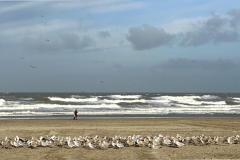 BSG-HoekvHolland-202312010_Niek_09