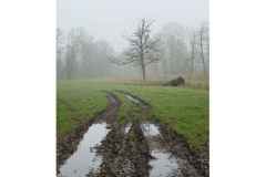 BSG-wandeling-Lage-Mierde_mrt-2026_013