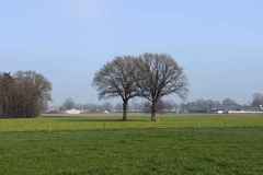 BSG-wandeling-Lage-Mierde_mrt-2026_021