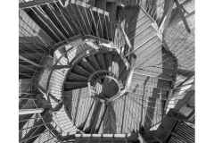 BSG-wandeling-Lage-Mierde_mrt-2026_029