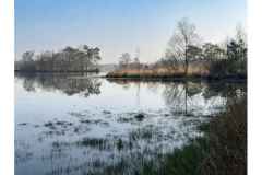 BSG-wandeling-Lage-Mierde_mrt-2026_031