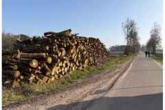 BSG-wandeling-Lage-Mierde_mrt-2026_032