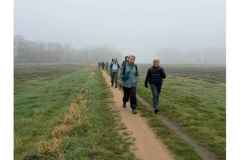 BSG-wandeling-Lage-Mierde_mrt-2026_06