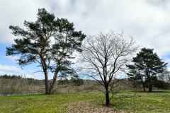 BSG-TT-Maarn-2-april-2023_Niek_012