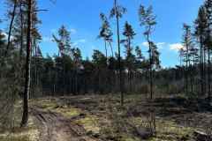 BSG-TT-Maarn-2-april-2023_Niek_025