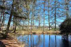 BSG-TT-Maarn-2-april-2023_Niek_029