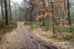 BSG-Bergen-op-Zoom_Niek_16