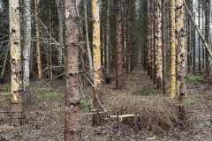 BSG-Bergen-op-Zoom_Niek_21