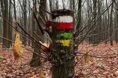 BSG-Bergen-op-Zoom_Niek_23