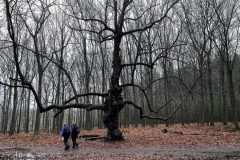 BSG-Bergen-op-Zoom_Niek_24