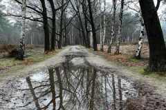 BSG-Bergen-op-Zoom_Niek_27