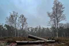 BSG-Bergen-op-Zoom_Niek_28