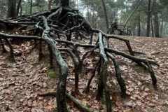 BSG-Bergen-op-Zoom_Niek_29