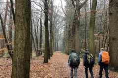 BSG-Bergen-op-Zoom_Niek_3