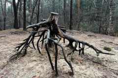 BSG-Bergen-op-Zoom_Niek_30