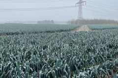 BSG-Bergen-op-Zoom_Niek_7