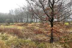 BSG-Bergen-op-Zoom_Niek_8