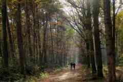 BSG-wandeling-Hilvarenbeek-kl16