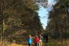 BSG-wandeling-Hilvarenbeek-kl19