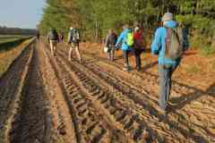 BSG-wandeling-Hilvarenbeek-kl33