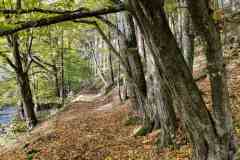 BSG-Eiffel-15_16_okt22_Niek_010