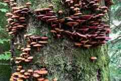 BSG-Eiffel-15_16_okt22_Niek_016