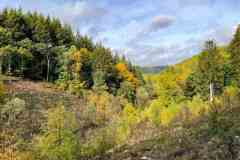 BSG-Eiffel-15_16_okt22_Niek_019