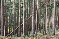 BSG-Eiffel-15_16_okt22_Niek_021