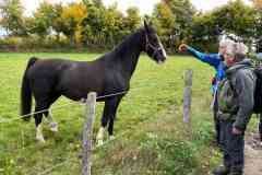 BSG-Eiffel-15_16_okt22_Niek_03