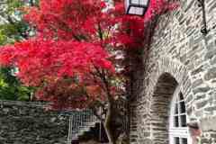 BSG-Eiffel-15_16_okt22_Niek_031