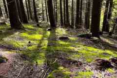 BSG-Eiffel-15_16_okt22_Niek_047