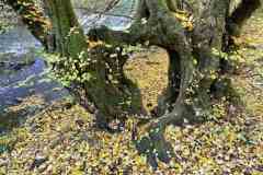 BSG-Eiffel-15_16_okt22_Niek_053