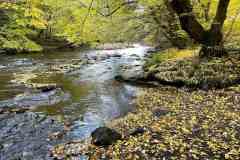 BSG-Eiffel-15_16_okt22_Niek_055