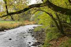 BSG-Eiffel-15_16_okt22_Niek_06