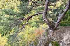 BSG-Eiffel-15_16_okt22_Niek_061