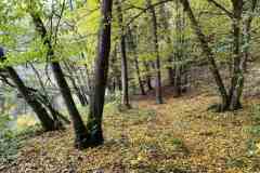 BSG-Eiffel-15_16_okt22_Niek_07