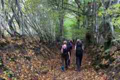 BSG-Eiffel-15_16_okt22_Niek_074