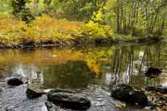 BSG-Eiffel-15_16_okt22_Niek_08