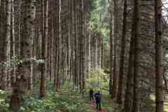 BSG-Eiffel-15_16_okt22_Niek_09