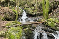 PHOTO-2024-02-29-22-07-01_3