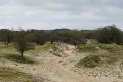 BSG-wandeling-Meijendel_mrt-2020_13