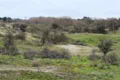 BSG-wandeling-Meijendel_mrt-2020_20