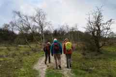BSG-wandeling-Meijendel_mrt-2020_24