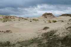 BSG-wandeling-Meijendel_mrt-2020_27