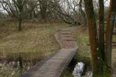 BSG-wandeling-Meijendel_mrt-2020_7