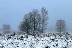 BSG-Nieuwjaarweekend_Niek_jan2023_019