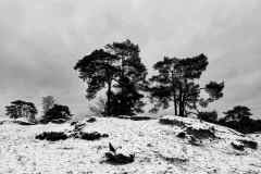 BSG-Nieuwjaarweekend_Niek_jan2023_047