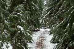 BSG-Nieuwjaarweekend_Niek_jan2023_054