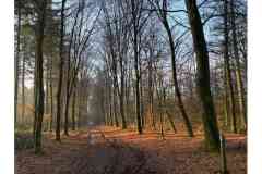 BSG-Nieuwjaarweekend-Bosbeek_jan2026_031